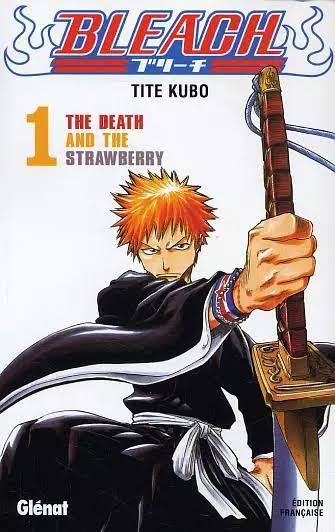 Bleach Cover Image