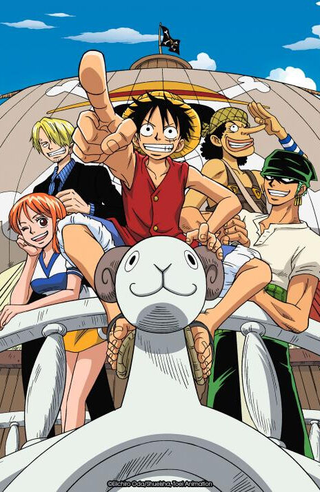 One Piece Cover Image