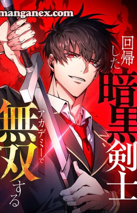 The Dark Swordsman Returns Cover Image